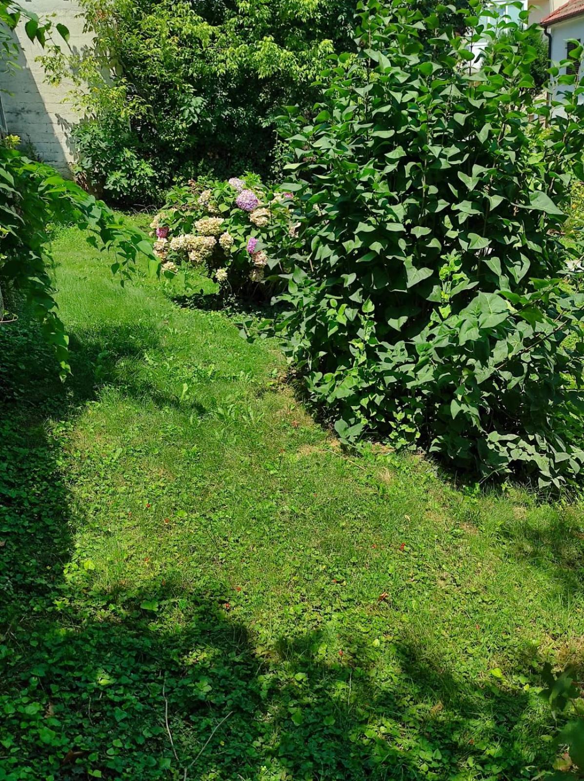 Apartman Zagreb,Rebro,Maksimir,Centar Marko Exterior foto
